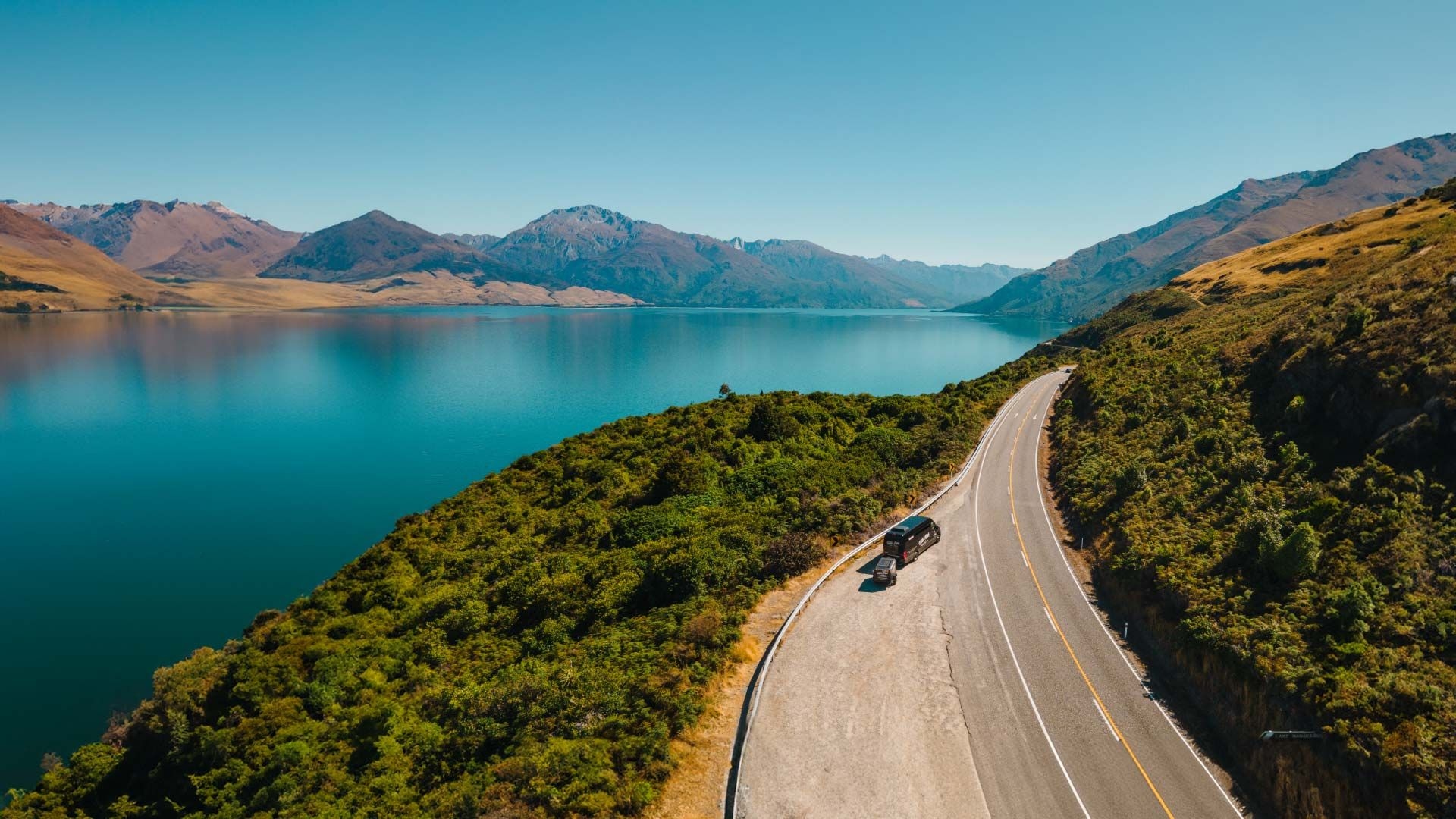 Wild Kiwi on the side of the road next to Lake Wakatipu in New Zealand