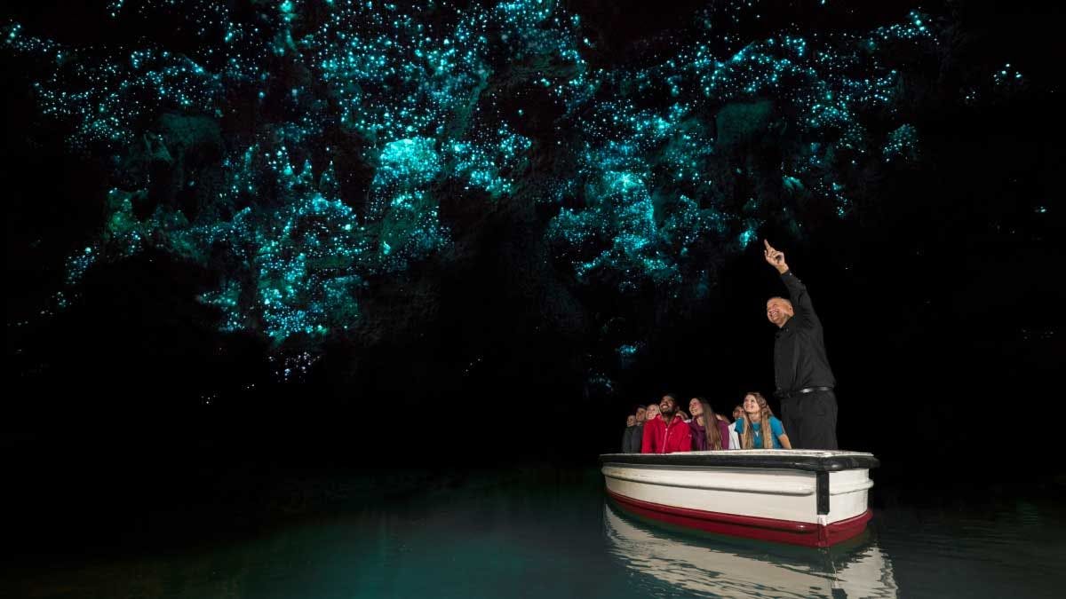 Boat tour of the glowworm caves at Waitomo